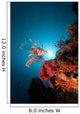 Lionfish and Tropical Underwater