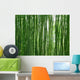 Bambuswald Wall Decal