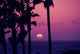 Pink Sky Sunset Venice