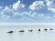 Path Wall Mural