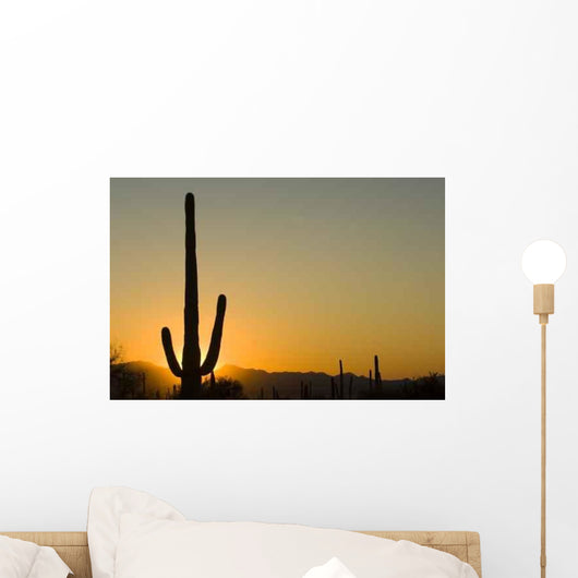 Sunset Arizona Wall Decal