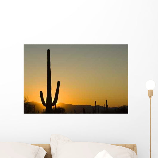 Sunset Arizona Wall Decal