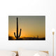 Sunset Arizona Wall Decal