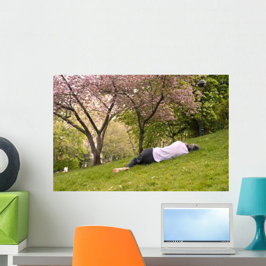 Buttes Chaumont Wall Decal