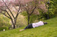 Buttes Chaumont Wall Decal