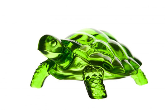 Feng Shui Turtle White