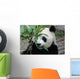 Giant Panda Wall Mural