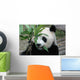 Giant Panda Wall Mural