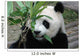 Giant Panda Wall Mural