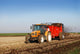 Tipper Tractor Wall Mural