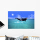 Killer Whale