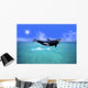 Killer Whale