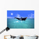 Killer Whale