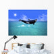 Killer Whale