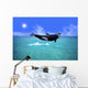 Killer Whale