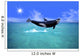 Killer Whale