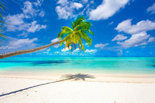 Holiday Paradise