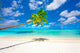 Holiday Paradise
