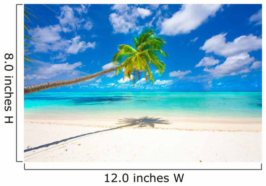 Holiday Paradise