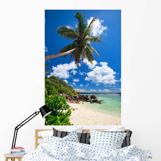 Stunning Beach Seychelles