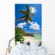 Stunning Beach Seychelles