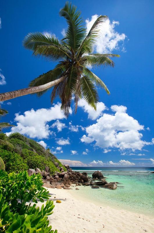 Stunning Beach Seychelles
