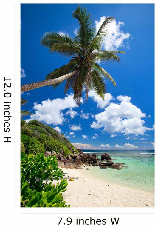 Stunning Beach Seychelles
