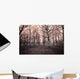 dark woods Wall Mural