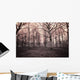 dark woods Wall Mural
