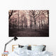 dark woods Wall Mural