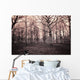 dark woods Wall Mural