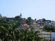 Vue D'ensemble Guayaquil Wall Decal