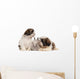 Two Shih-tzus Playing with Wall Decal
