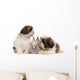 Two Shih-tzus Playing with Wall Decal