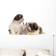 Two Shih-tzus Playing with Wall Decal