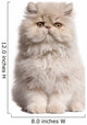 Young Persian cat Wall Decal