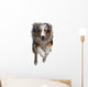 Australian Shepherd Dog Wall Decal