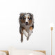 Australian Shepherd Dog Wall Decal