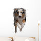 Australian Shepherd Dog Wall Decal