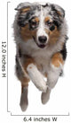 Australian Shepherd Dog Wall Decal