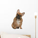 French Bulldog Puppy Wall Mural