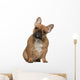 French Bulldog Puppy Wall Mural