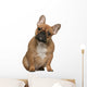 French Bulldog Puppy Wall Mural