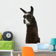 Llama Lama Glama Front Wall Decal