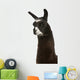 Llama Lama Glama Front Wall Decal