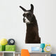 Llama Lama Glama Front Wall Decal