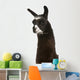 Llama Lama Glama Front Wall Decal