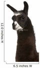 Llama Lama Glama Front Wall Decal