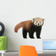 Young Red panda Wall Decal