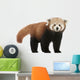 Young Red panda Wall Decal